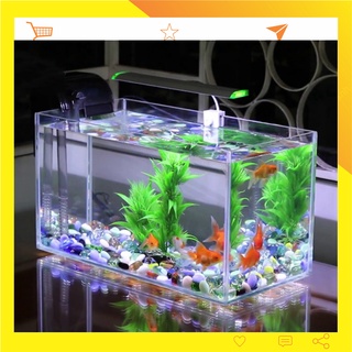 Bể cá mini thủy sinh chất liệu mica để bàn dài 24/ cao14/ sâu 12cm