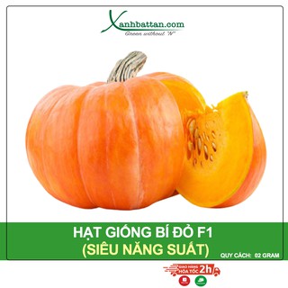 Hạt giống Bí Đỏ Dạng Tròn Phú Nông Siêu Năng Suất