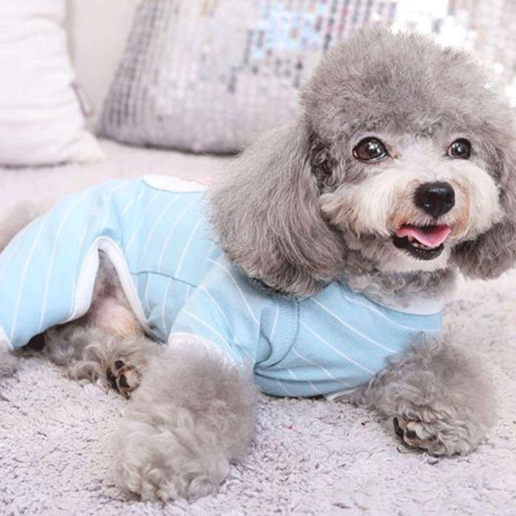 JARRED Áo liền quần Cotton Cho Thú Cưng