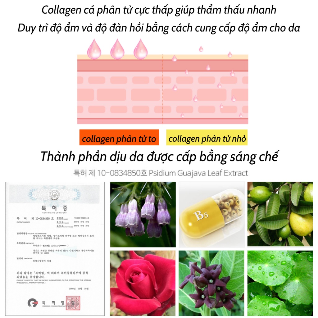 Kem Trắng Da Nâng Tone Chống Nắng Siskeli Ban Ngày Collagen V10 55ml - KOBE YOUNG