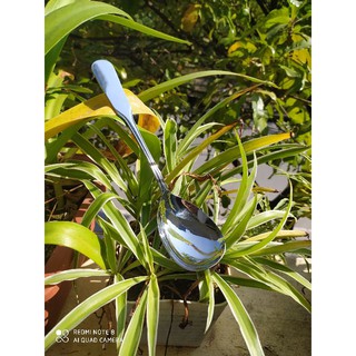 Thìa (Môi) Múc Canh, Xới Cơm Inox Cao Cấp