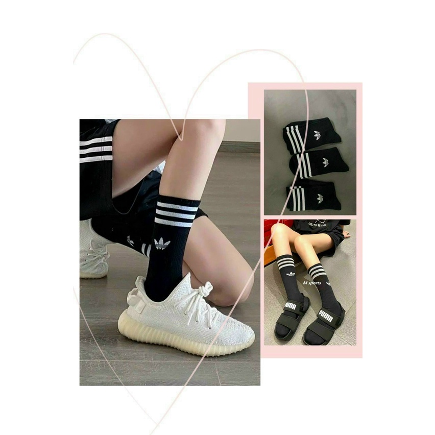 TẤT VỚ CAO CỔ NAM NỮ KHÁNG KHUẨN, COTTON NHẬP NGOẠI THẤM HÚT MỒ HÔI