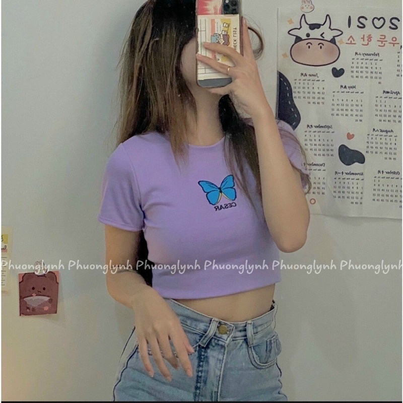 Áo Croptop Body Butterfly 🦋 Ảnh Thật