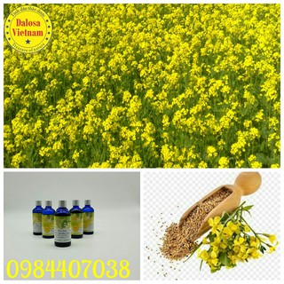 TINH DẦU MÙ TẠT (Mustard ) 100ml