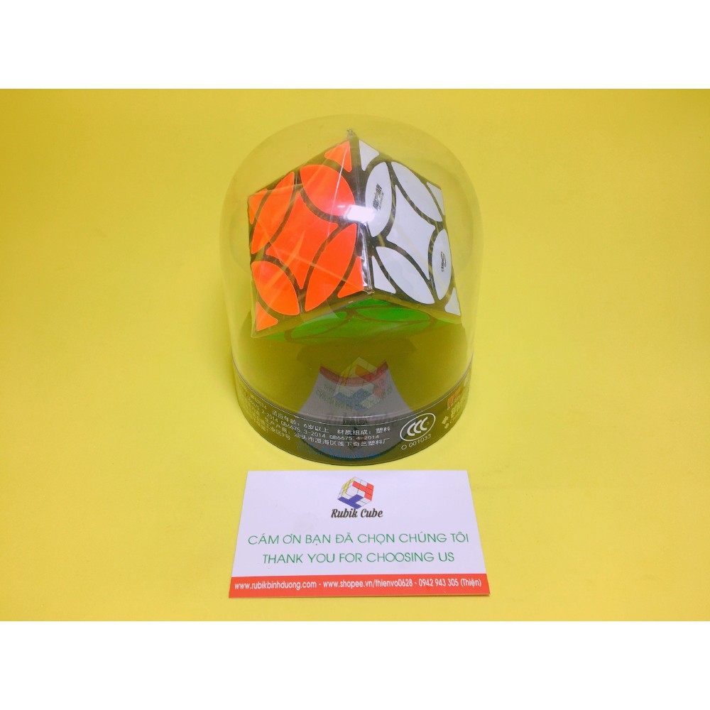 Đồ chơi Biến thể | Qiyi Coin Cube