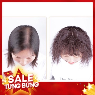 Tóc giả che hói, phủ bạc, làm dày tóc 🔸bichngocvic' s shop