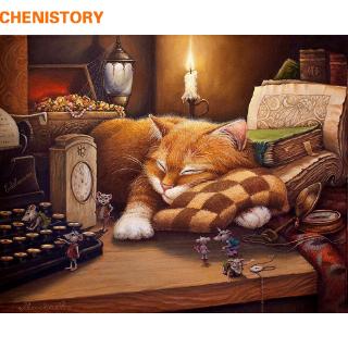 Tranh tô màu theo số 40x50cm không có khung hình chú mèo đang ngủ đẹp mắt