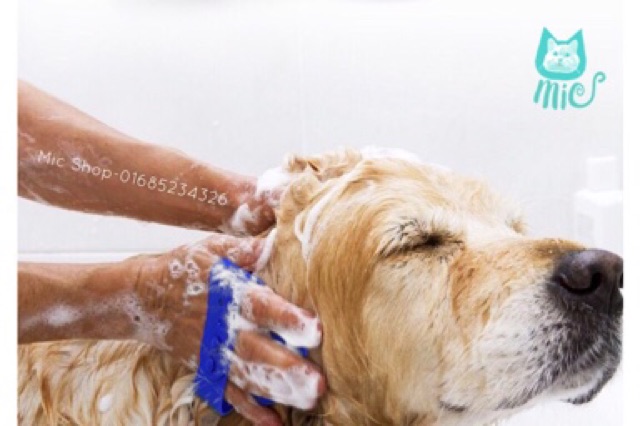 Găng tắm massage cho thú cưng