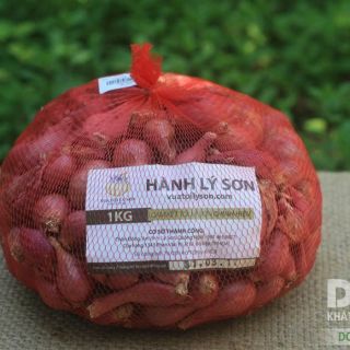 Hành tím lý sơn