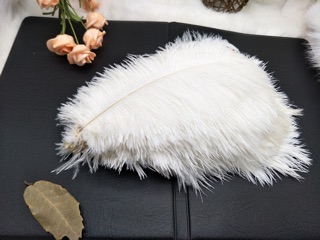 🔥 Lông vũ tự nhiên ( đạo cụ chụp ảnh) Cao Cấp 📌