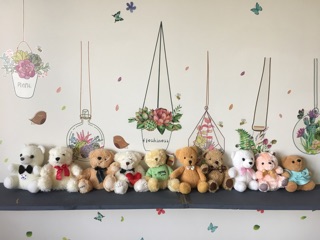 Set teddy 10con 220k