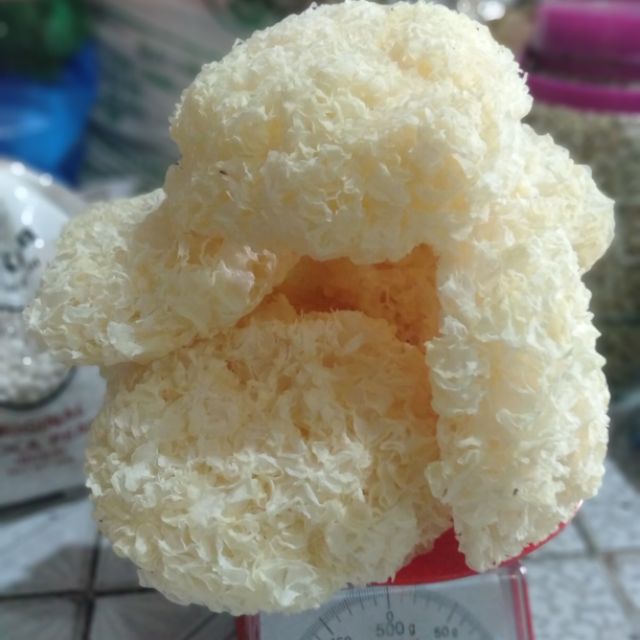 NẤM TUYẾT KHÔ LOẠI NGON [100G]