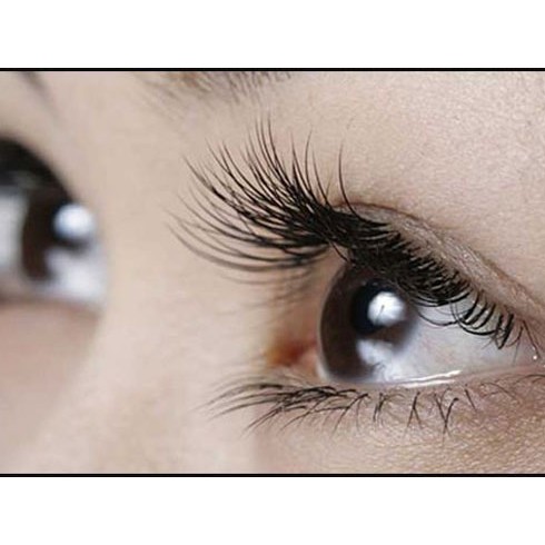 Serum dưỡng mi DHC Eyelash Tonic Nhật Bản 6.5ml