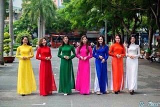 Vải áo dài màu