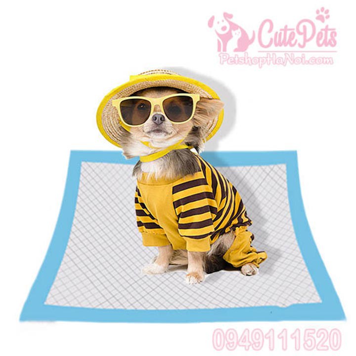 [Bịch] Tấm lót vệ sinh Pet diapers cho chó mèo - CutePets Phụ kiện chó mèo Pet shop Hà Nội