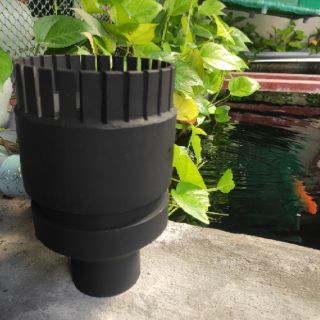 HÚT MẶT HỒ KOI