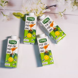 Lốc 4 hộp trà cozy tắc mật ong 225ml