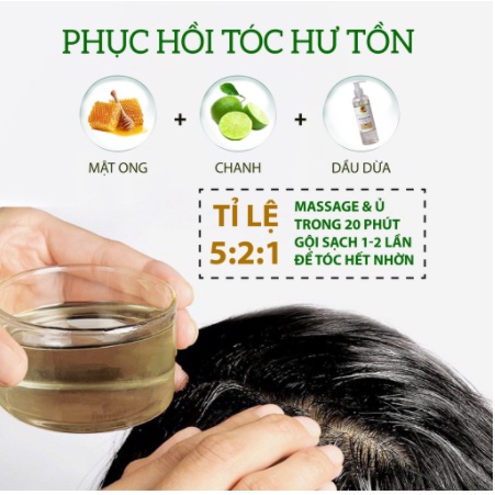 Dầu Dừa Nguyên Chất Ép Lạnh Tinh Khiết Dưỡng Da, Dưỡng Tóc, Dưỡng Môi