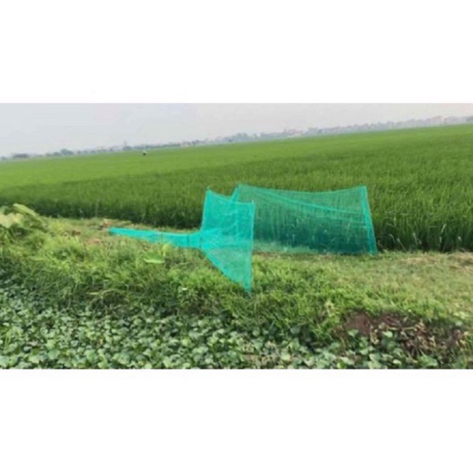 Đăng chặn sông dớn săm bắt cá tàng hình 8m