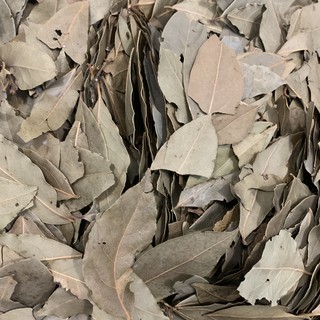 Lá Nguyệt Quế (Bay Leaf)