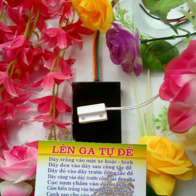 ANHMANH0858428119