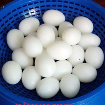 Trứng chim bồ câu giả Halosung Trứng chim phụ kiện lồng chim PK108