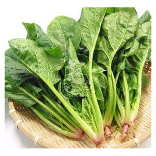 Hạt giống cải bó xôi phú nông - gói 20g