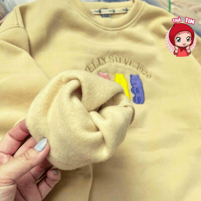 Áo Sweater Nữ Cổ Chui Chất Nỉ Mềm Mịn Thêu Gấu Form Rộng Mặc Thoải Mái Che Nắng Chắn Gió Tốt [NEW UNISEX]