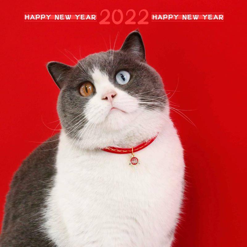 Vòng Đeo Cổ Có Chuông Cho Thú Cưng Mừng Năm Mới