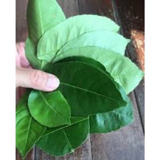 1 ký lá chanh tươi