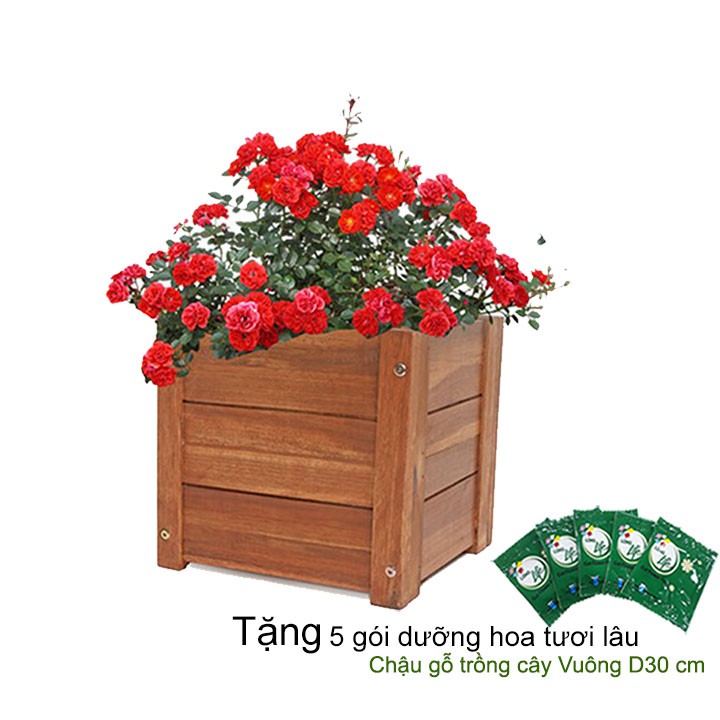 Chậu gỗ trồng cây, hình vuông, D30xR30xC30cm, gỗ Tràm chịu nước, tặng 1 hộp dưỡng hoa tươi lâu |Greenhome