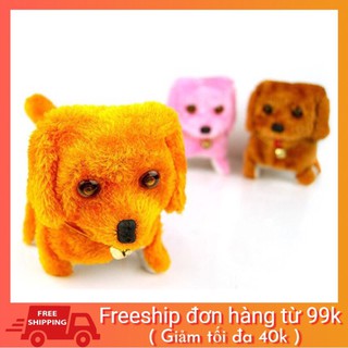 chó bin biết đi, kêu 😄😄😄