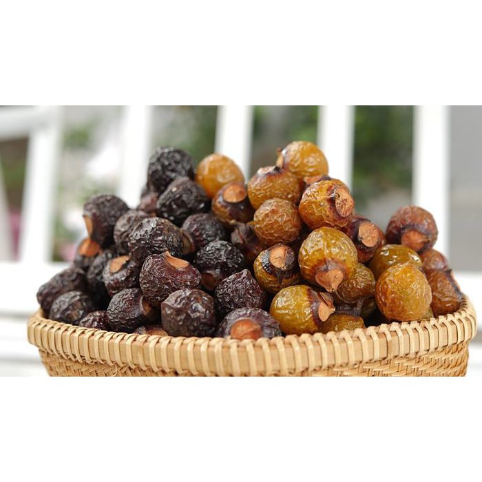 Bồ hòn giúp kháng khuẩn