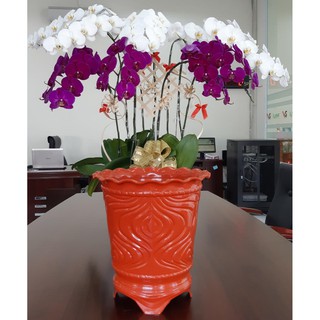 Bộ 2 Chậu Nhựa Trồng Trồng Cây Hoa Văn Trái Đào (41x28x Cao 43cm)Bền Chắc, Rất Đẹp Trang Nhã - Trồng Cây Cảnh, Hoa Kiểng