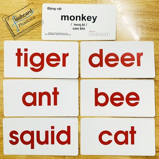thẻ từ đơn Flashcard song ngữ tiếng anh - English flashcards - thẻ nhập tâm