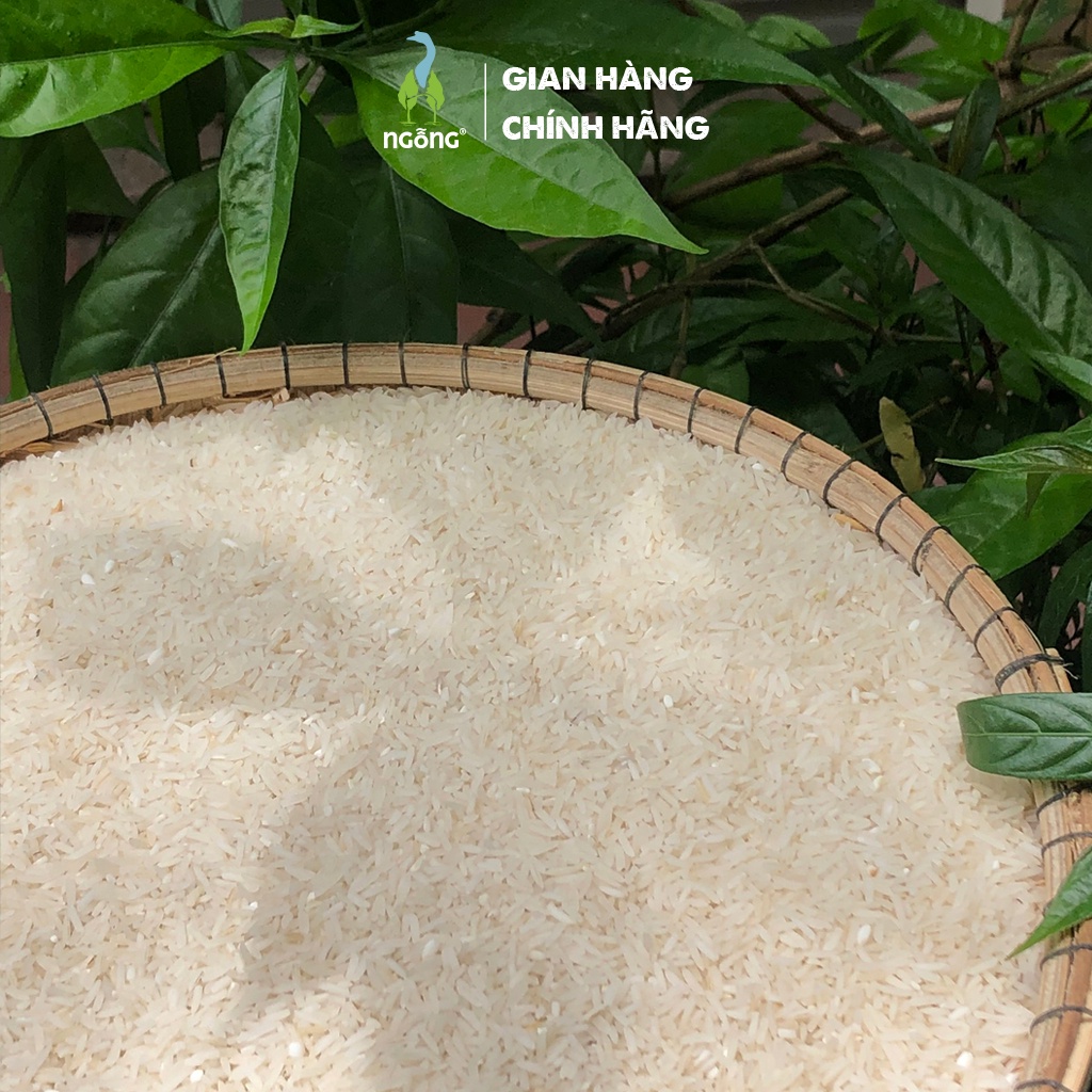 Gạo Ngỗng ST25_Gạo sạch ruộng rươi | BigBuy360 - bigbuy360.vn