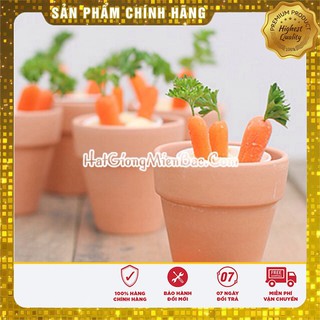 Hạt Giống Cà Rốt Mini(100 hạt)