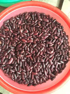 Đậu đỏ hạt to 1kg