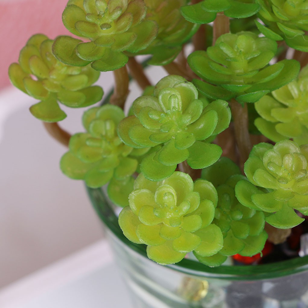 Cây Mọng Nước 24 Bông Nhân Tạo Làm Từ Nhựa Và Vải Xinh Xắn Dùng Trang Trí Nhà Cửa / Tiệc Tùng / Khách Sạn