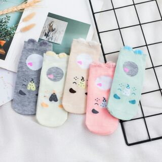 Combo 5 đôi tất thú xuất Hàn
