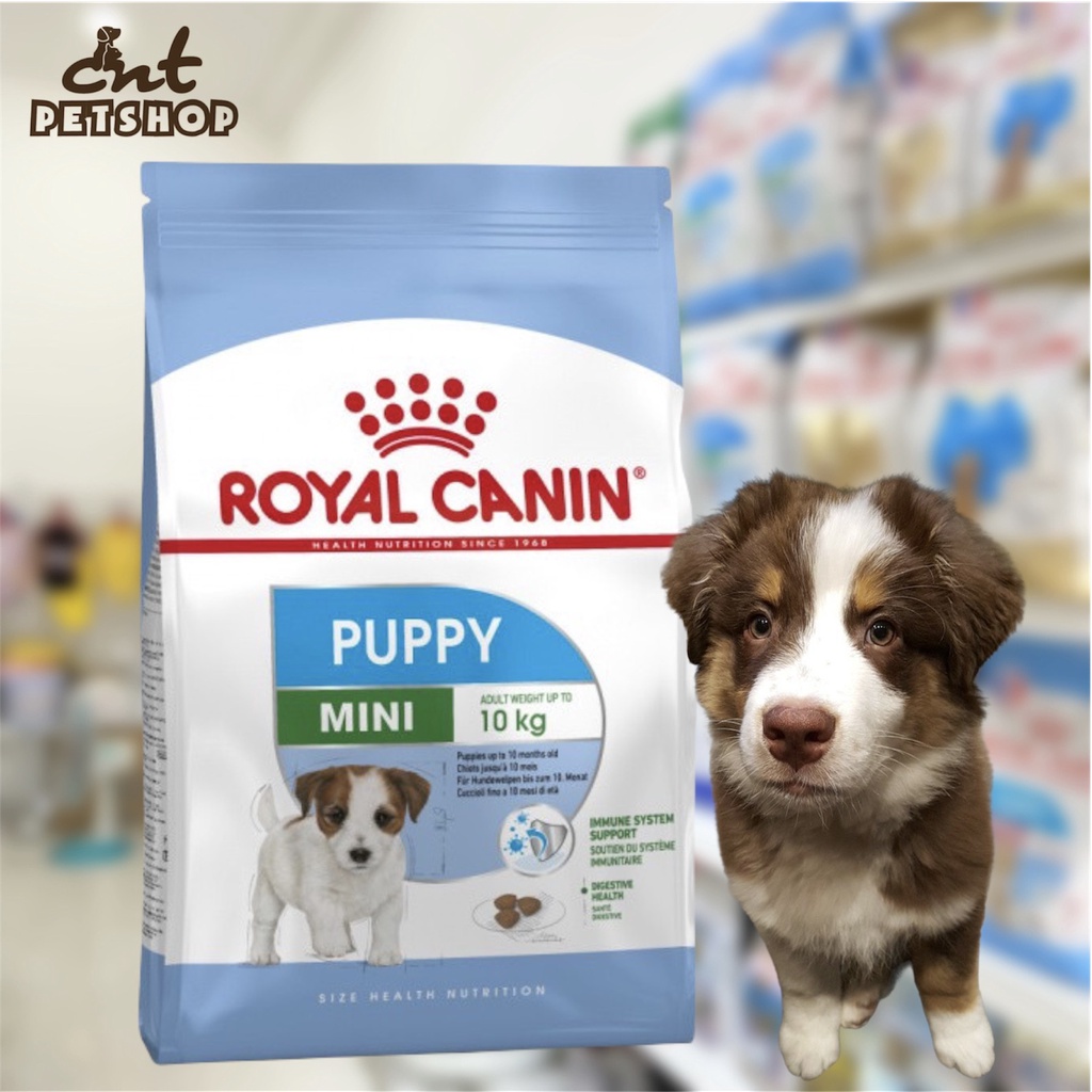 Thức ăn Hạt khô Mini Puppy dành cho Chó con kích cỡ nhỏ dưới 10 tháng tuổi Royal Canin