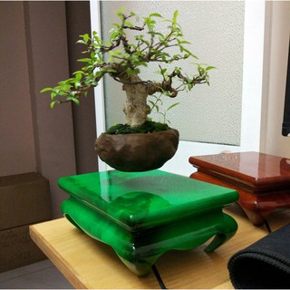 Airbonsai, chậu bonsai bay gỗ, chậu bonsai bay ngọc