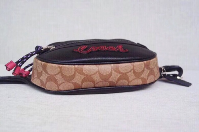 TÚI BAO TỬ COACH VALE