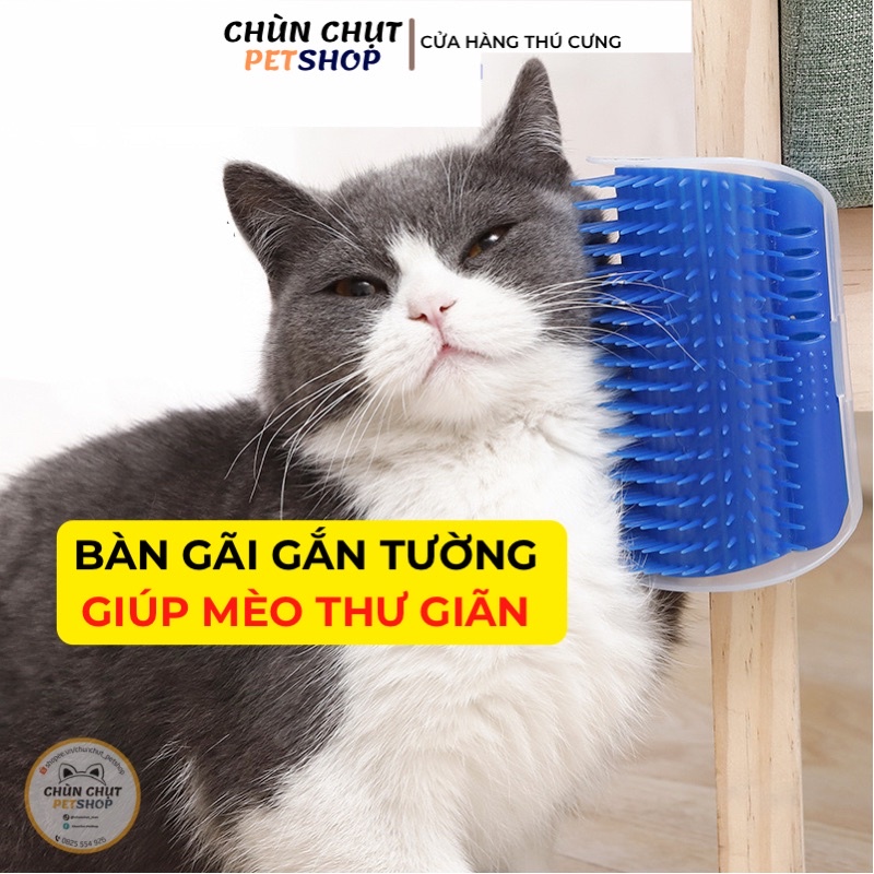 Bàn gãi gắn tường - Mát xa cho Mèo (Kèm miếng dán 3M và Cỏ Mèo)