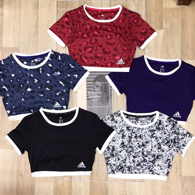 Áo Croptop Thể Thao Tập GYM YOGA Với Viền Tay Ngắn Cực Kỳ Xinh - BOM B52 Thời Trang Thể Thao