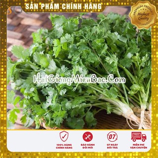 Hạt Giống Rau Mùi Tía(30 gr)