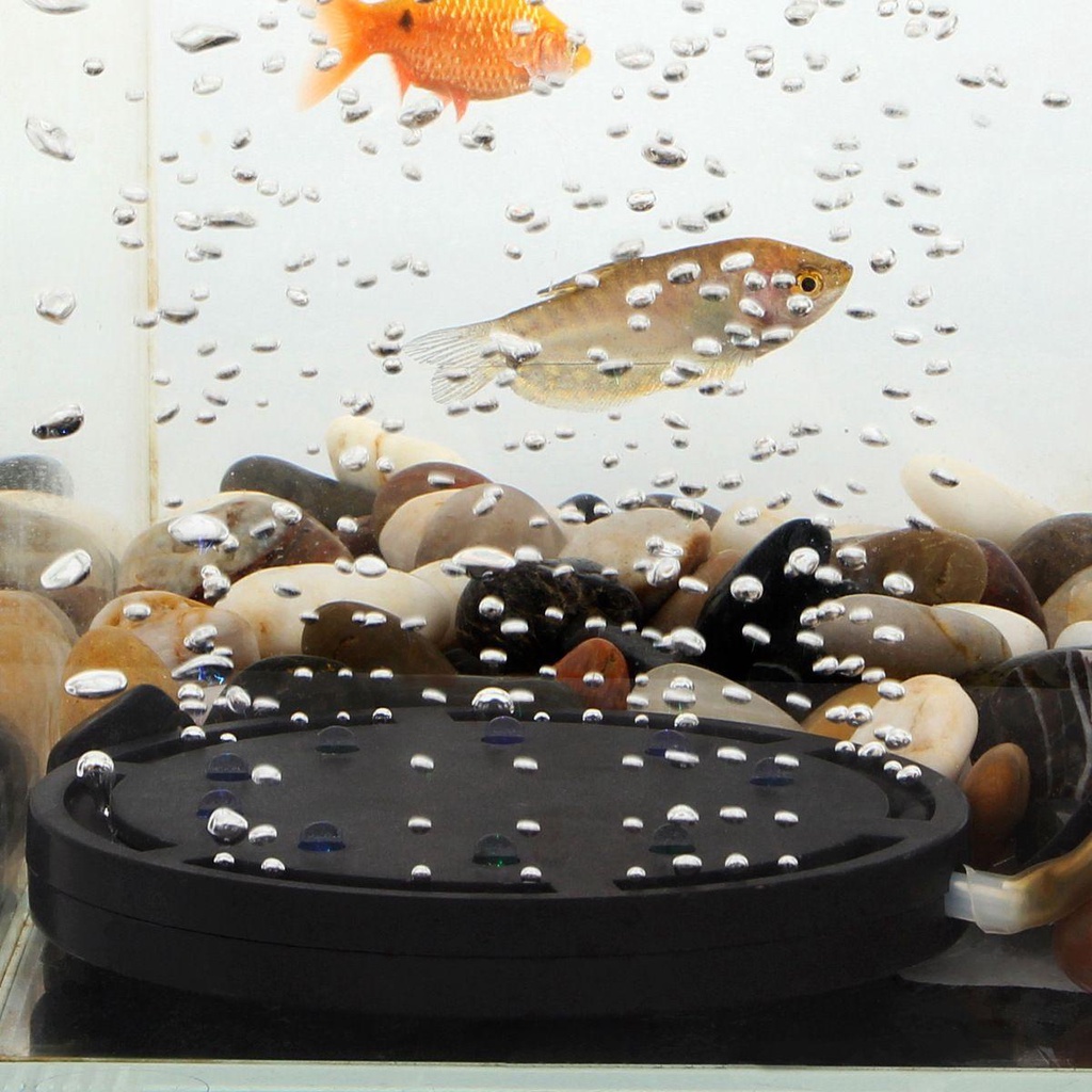 Đèn LED Hình Đĩa Bong Bóng Trang Trí Bể Cá Mẫu Mới 2022