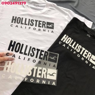 [Giá Sỉ] Hình ủi nhiệt - Hollister