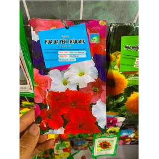 Hạt giống hoa Dạ yến thảo mix, sọc, rủ