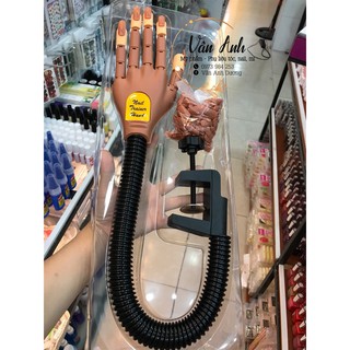 bàn tay giả có khớp học nail